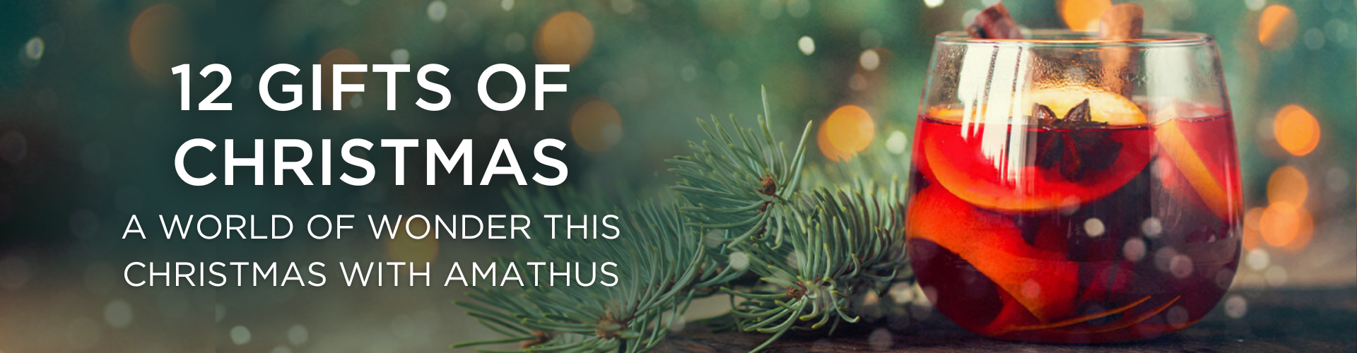 12 Gifts of Christmas