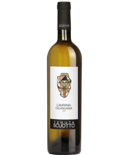 Tennuta Scuotto Falanghina