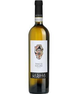 Tennuta Scuotto Fiano di Avellino