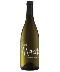 Berthier Terre de Marne Côteaux du Giennois Blanc 2022