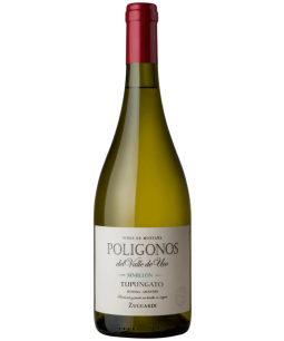 Zuccardi Poligonos Tupungato Semillon