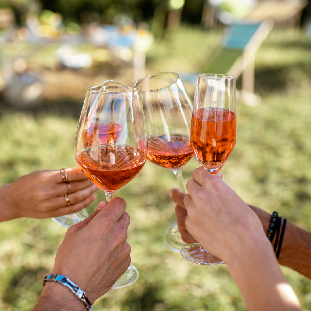 Hampstead wine tasting